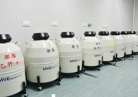 mve液氮罐 mve液氮罐