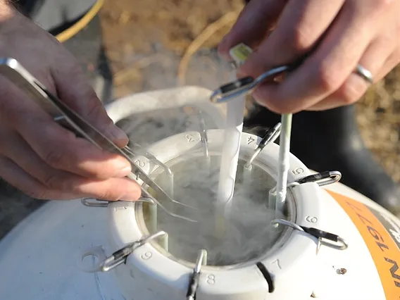 液氮罐操作 液氮罐操作